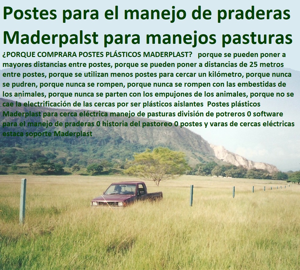Postes plásticos Maderplast para cerca eléctrica manejo de pasturas división de potreros 0 software para el manejo de praderas 0 historia del pastoreo 0 postes y varas de cercas eléctricas estaca soporte Maderplast Postes plásticos Maderplast para cerca eléctrica manejo de pasturas división de potreros 0 software para el manejo de praderas 0 historia del pastoreo 0 postes y varas de cercas eléctricas estaca soporte Maderplast Postes plásticos Maderplast para cerca eléctrica manejo de pasturas división de potreros 0 software para el manejo de praderas 0 historia del pastoreo 0 postes y varas de cercas eléctricas estaca soporte Maderplast